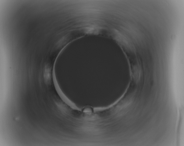 X0000113851154200910010955