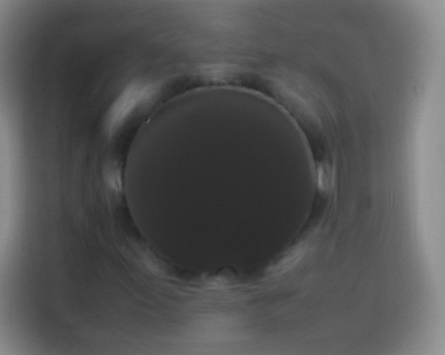 X0000113851155200910010955