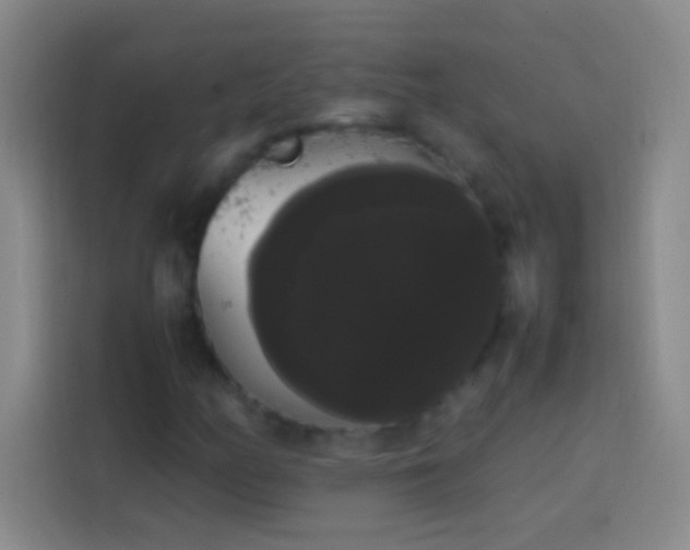 X0000113851158200910010955