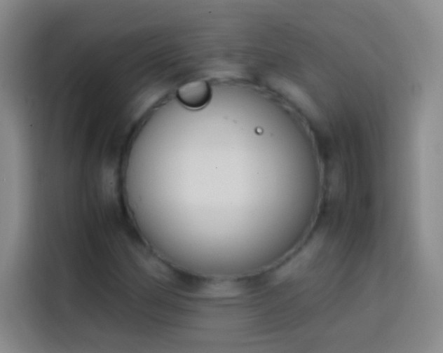 X0000113851162200910010955