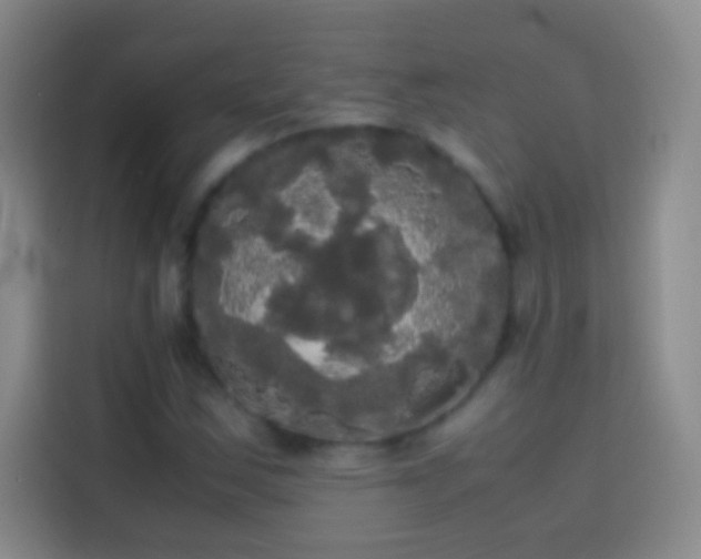 X0000113851163200910010955