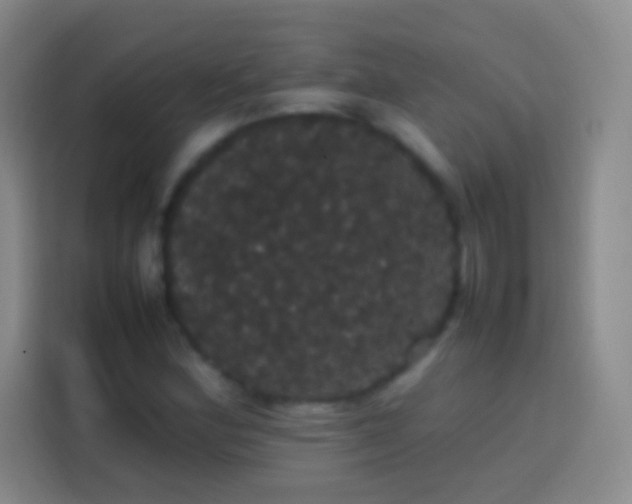 X0000113851164200910010955