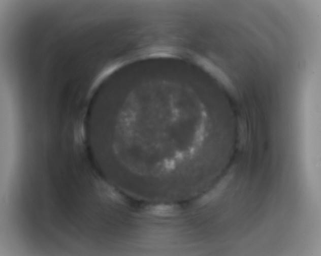 X0000113851166200910010955