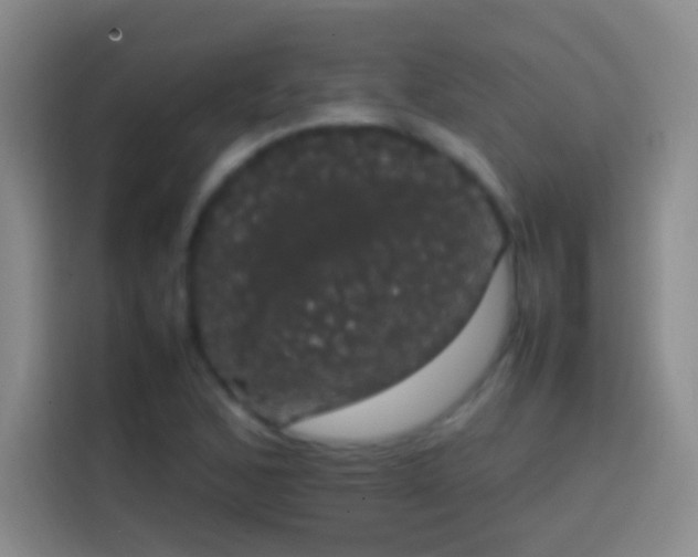 X0000113851168200910010955