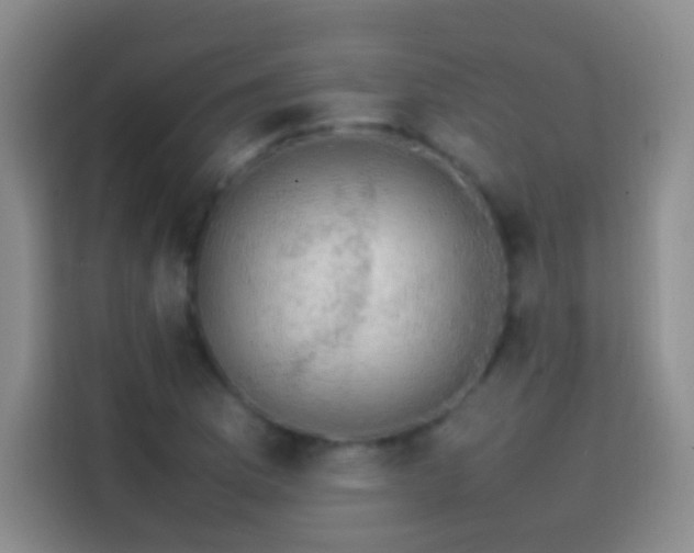 X0000113851169200910010955