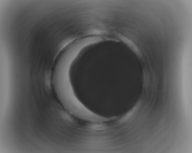 X0000113851170200910010955