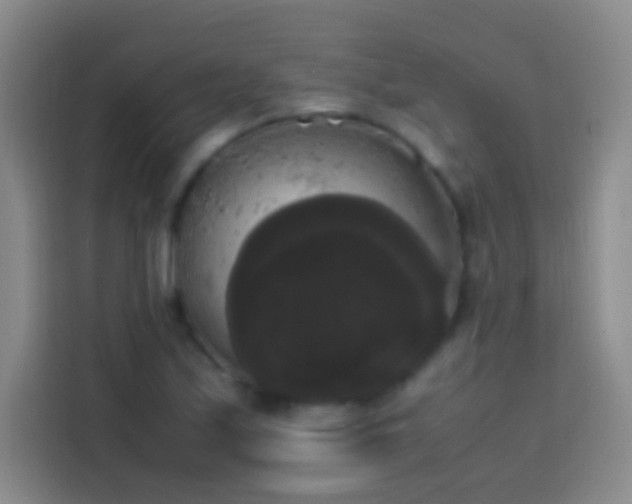 X0000113851171200910010955