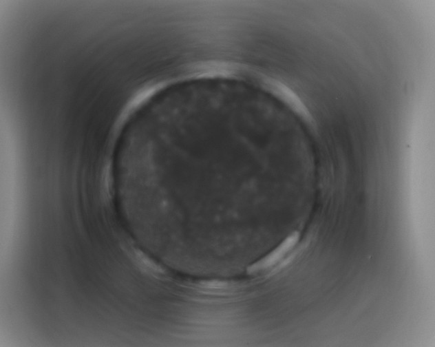 X0000113851172200910010955