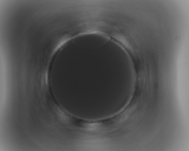 X0000113851173200910010955