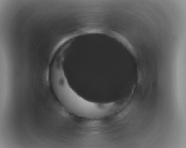 X0000113851174200910010955