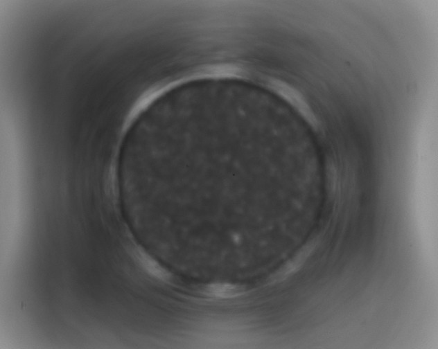 X0000113851176200910010955