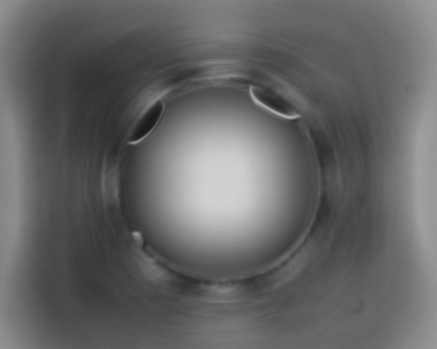 X0000113851177200910010955