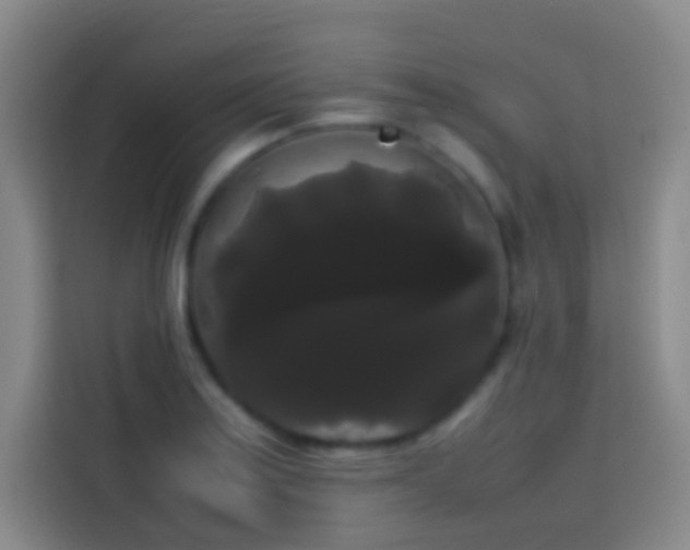 X0000113851179200910010955