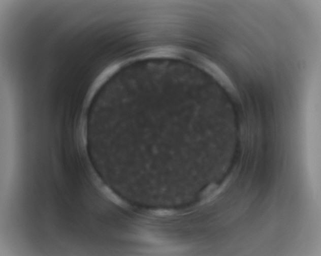 X0000113851180200910010955