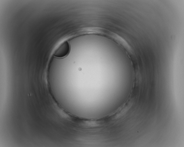 X0000113851182200910010955