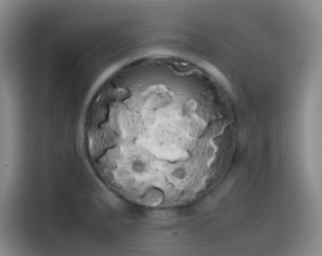 X0000113851183200910010955