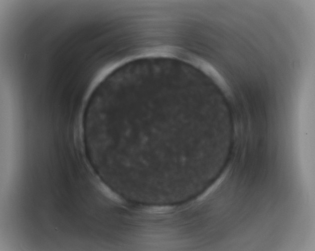 X0000113851184200910010955