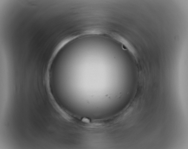 X0000113851187200910010954