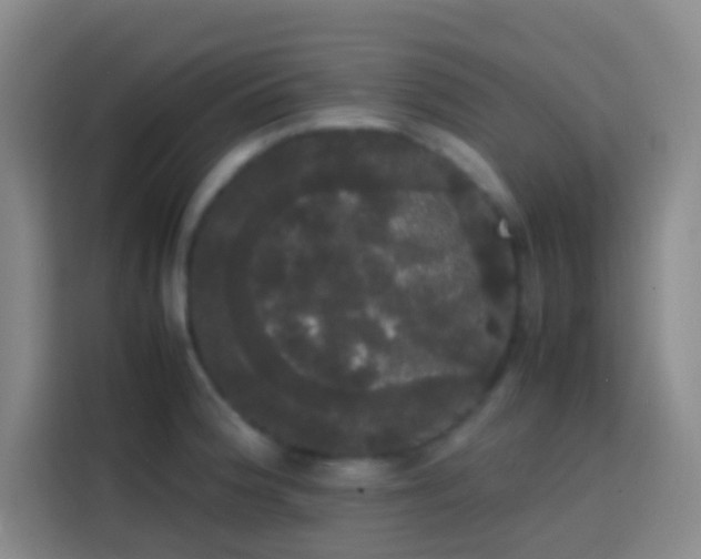 X0000113851188200910010954