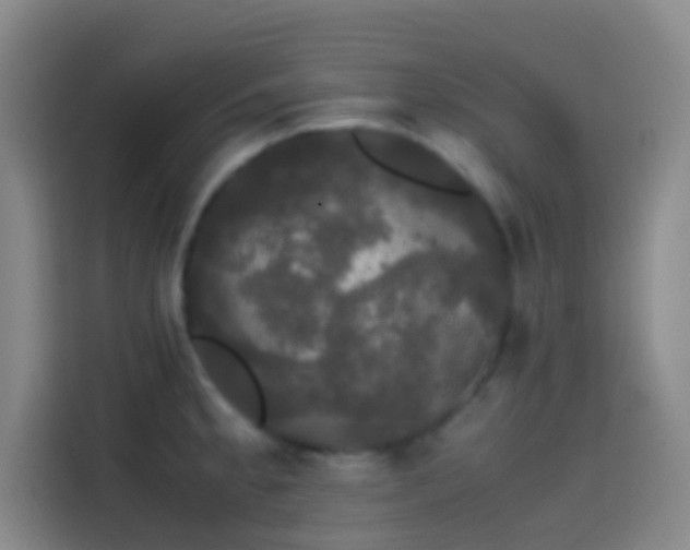 X0000113851189200910010954