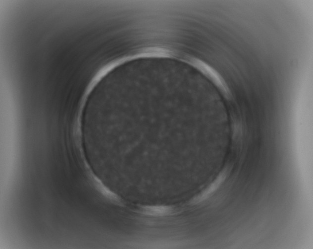 X0000113851192200910010954