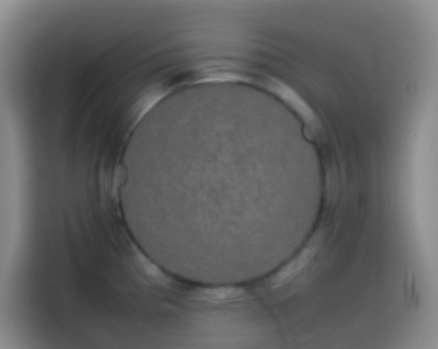 X0000113851193200910010954