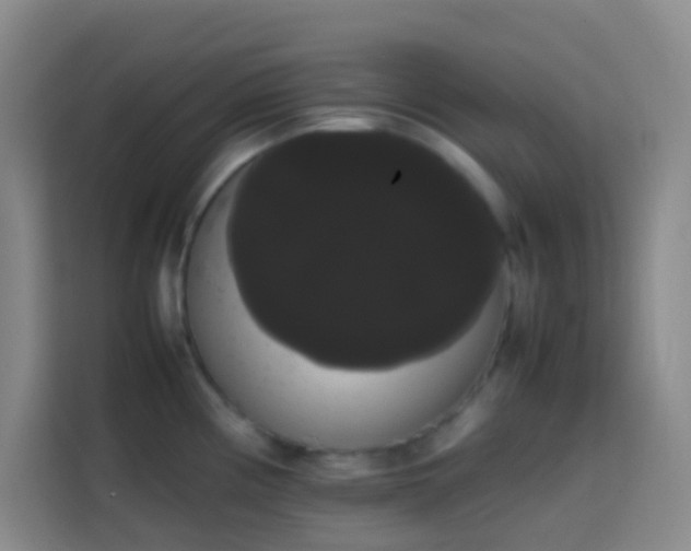 X0000113851194200910010954