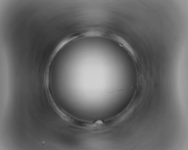 X0000113851195200910010954