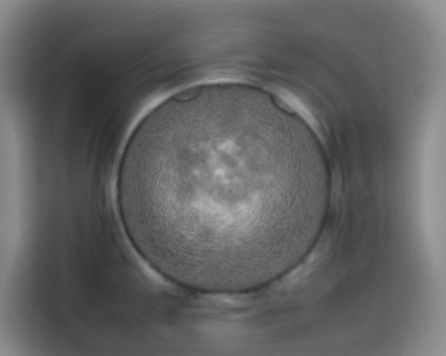 X0000113851197200910010954