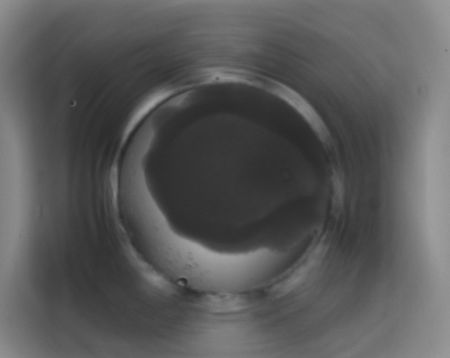 X0000113851198200910010954