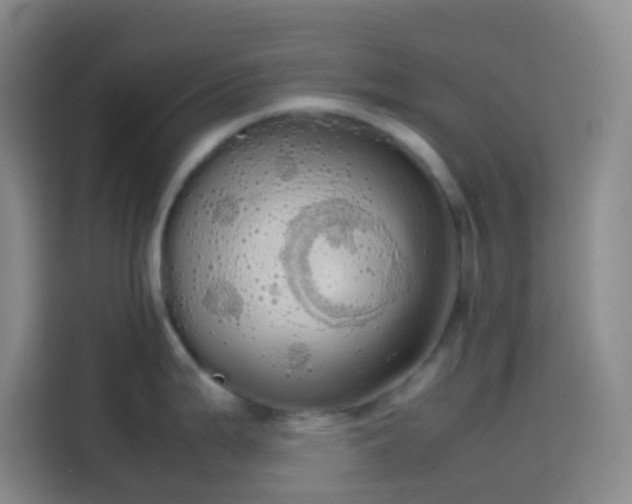 X0000113851199200910010954