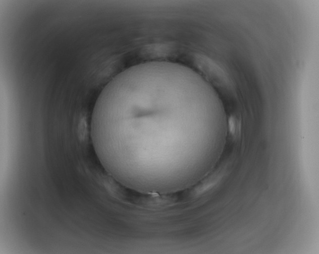 X0000113851203200910010954