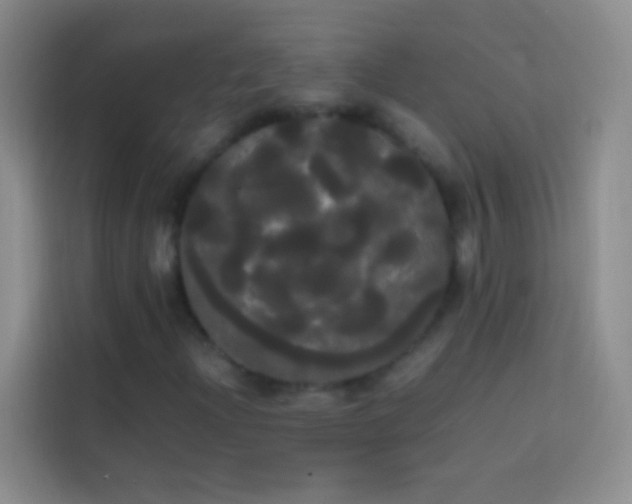 X0000113851204200910010954