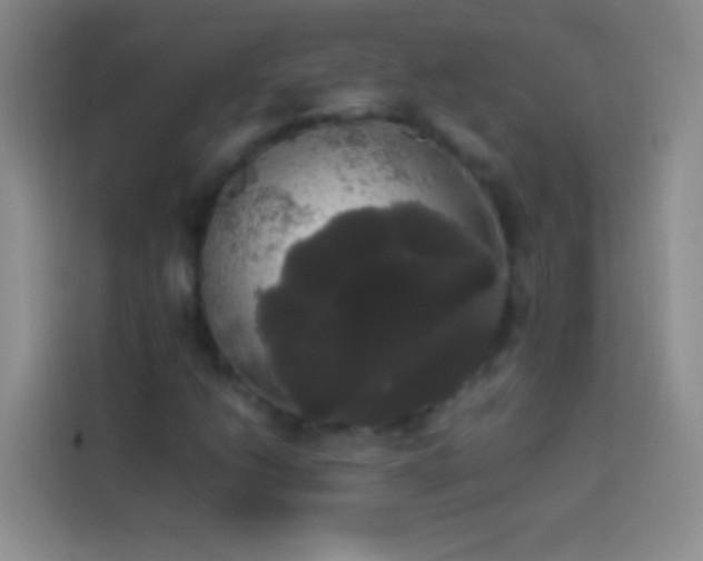 X0000113851206200910010954