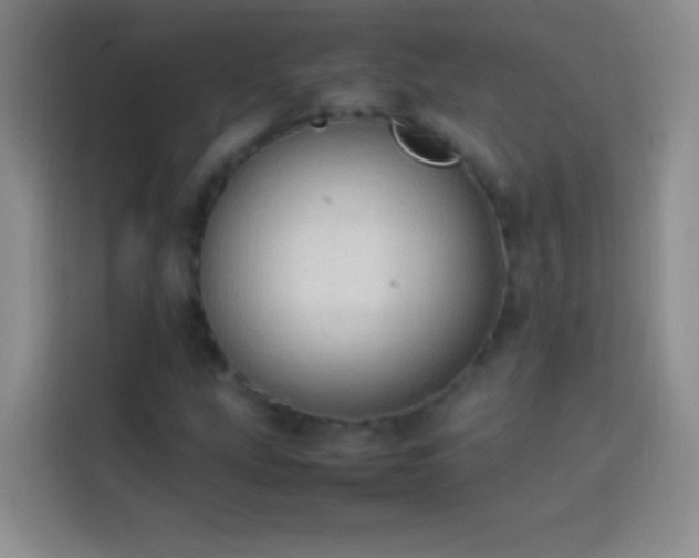 X0000113851207200910010954