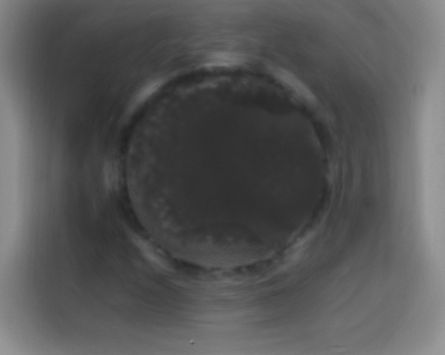 X0000113851208200910010954