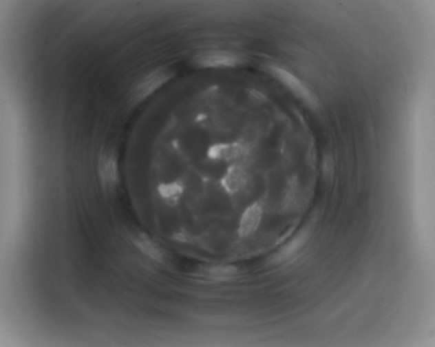 X0000113851209200910010954