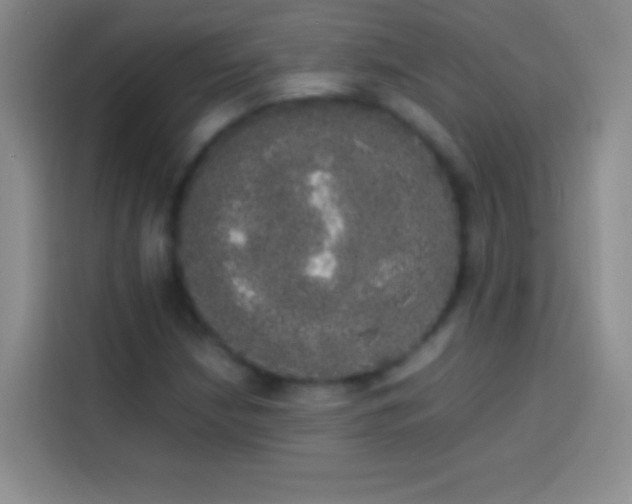 X0000113851210200910010954