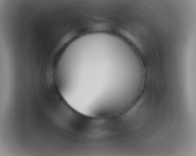 X0000113851211200910010954