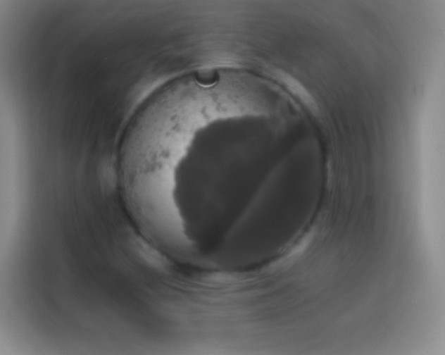 X0000113851212200910010954