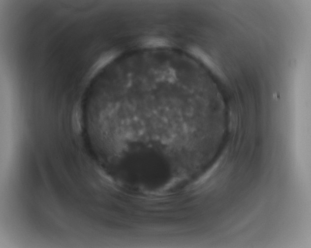 X0000113851213200910010954