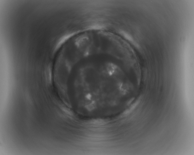 X0000113851214200910010954