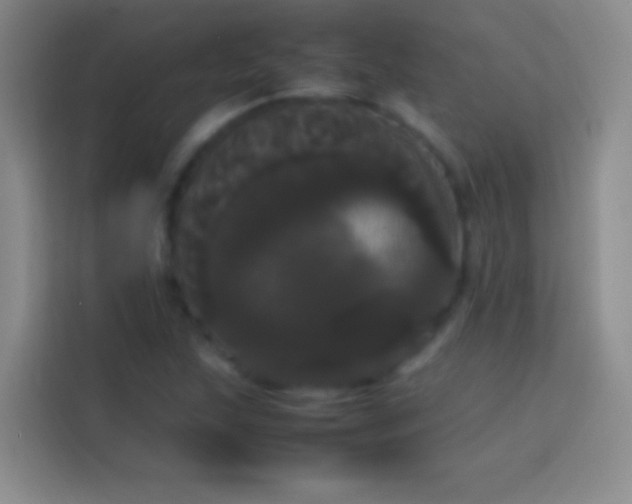 X0000113851215200910010954