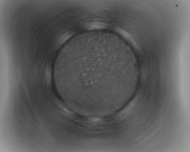 X0000113851217200910010954