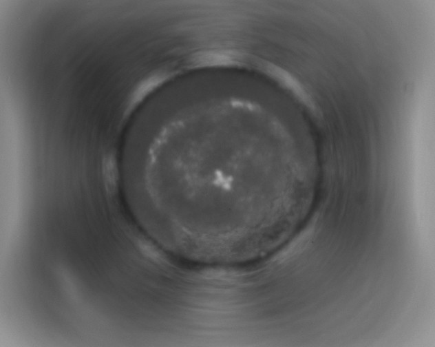 X0000113851218200910010954