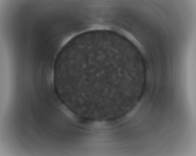 X0000113851220200910010954