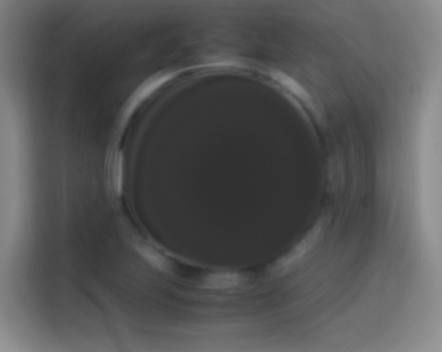 X0000113851223200910010954