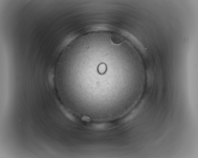 X0000113851225200910010954