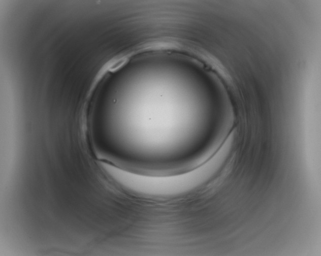 X0000113851226200910010954