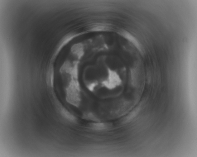 X0000113851227200910010954